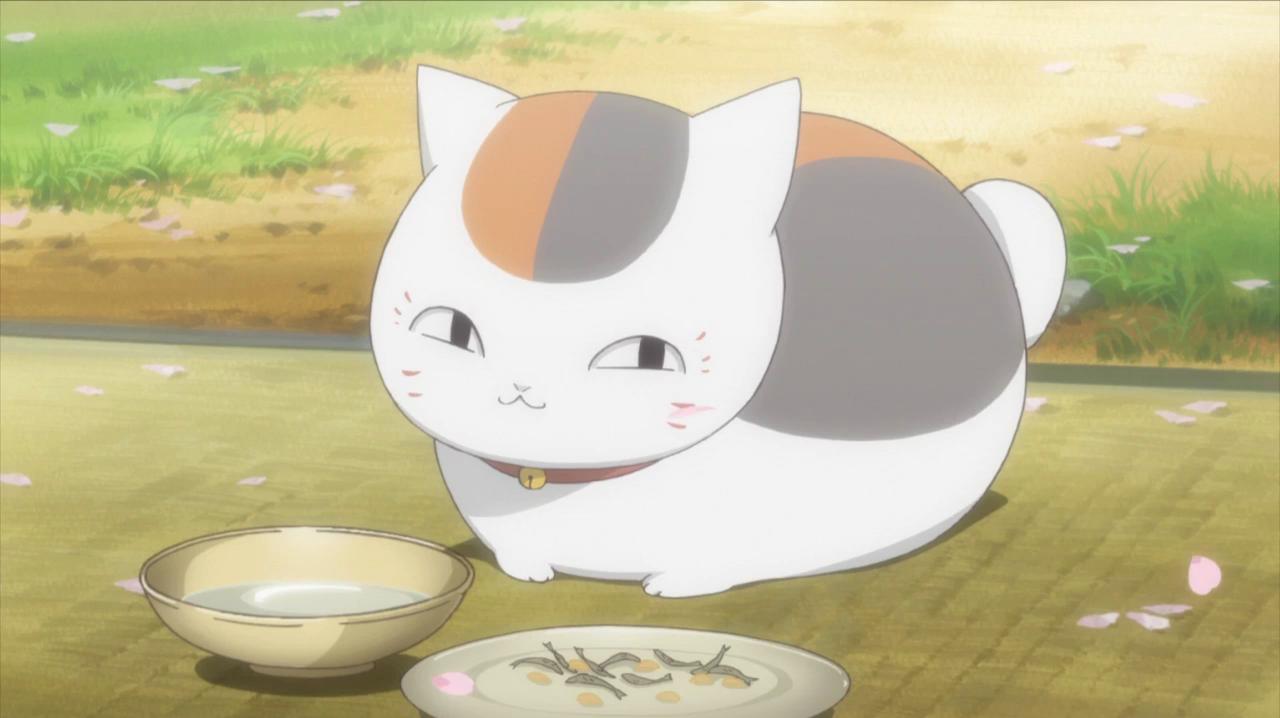 Nyanko Sensei - Natsume Yuujinchou Nyanko Sensei , HD Wallpaper & Backgrounds