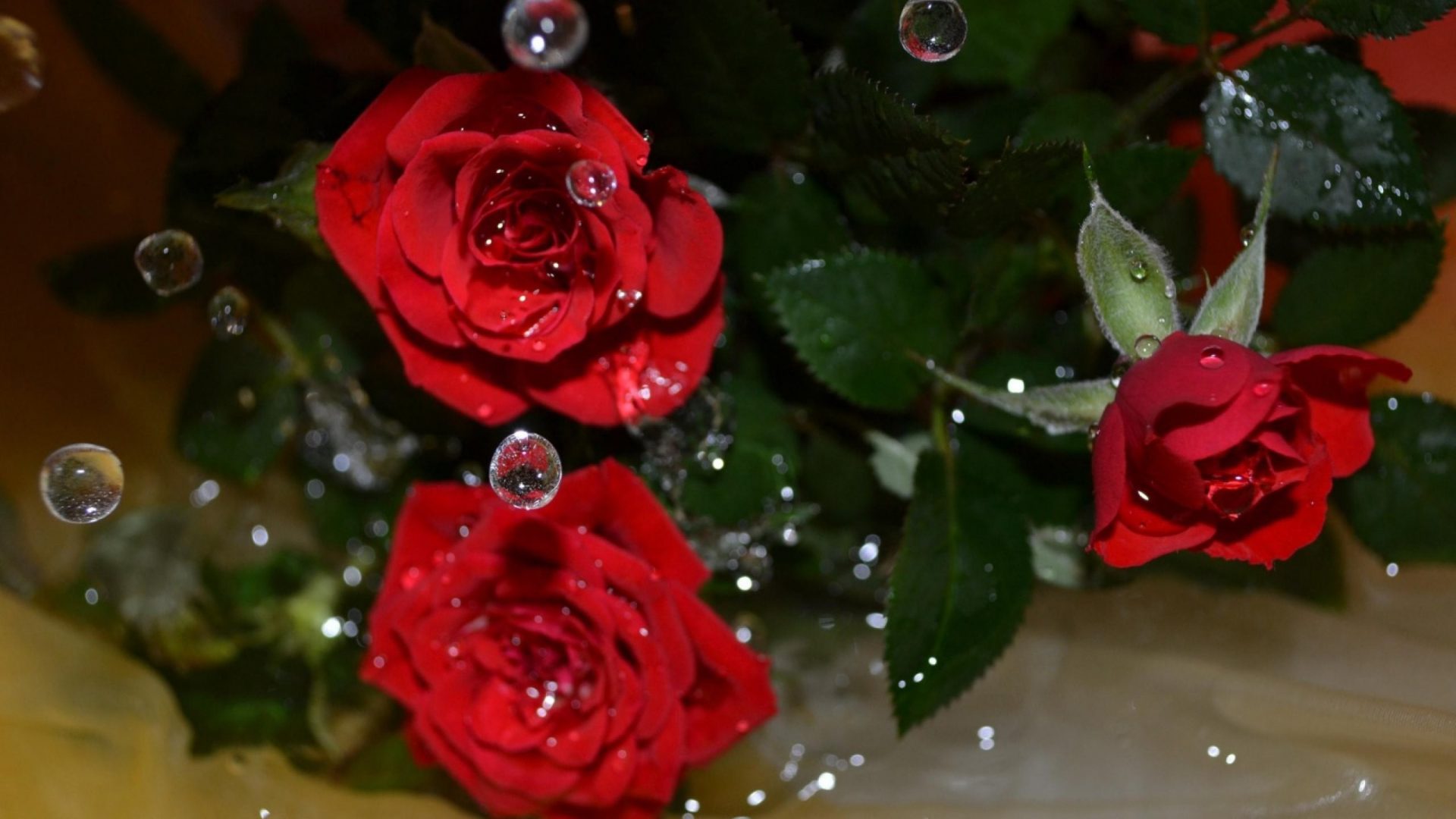 Nature Red Roses Earth Petals Rose Flowers Free Desktop - Flowers With Water Droplets Hd , HD Wallpaper & Backgrounds