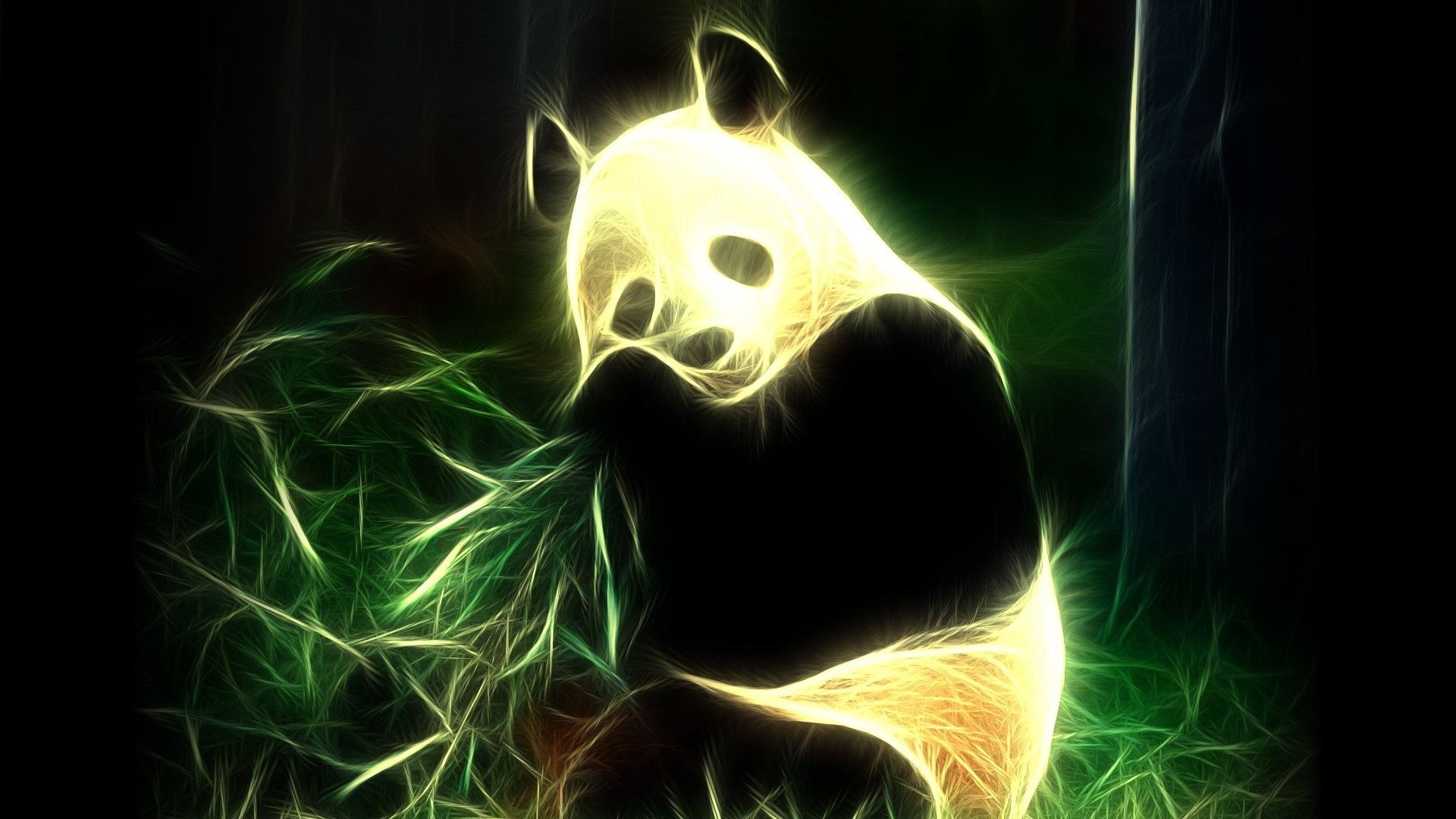 Cute Panda Pictures Wallpaper - 3d Live Wallpaper For Mobile Free Download , HD Wallpaper & Backgrounds