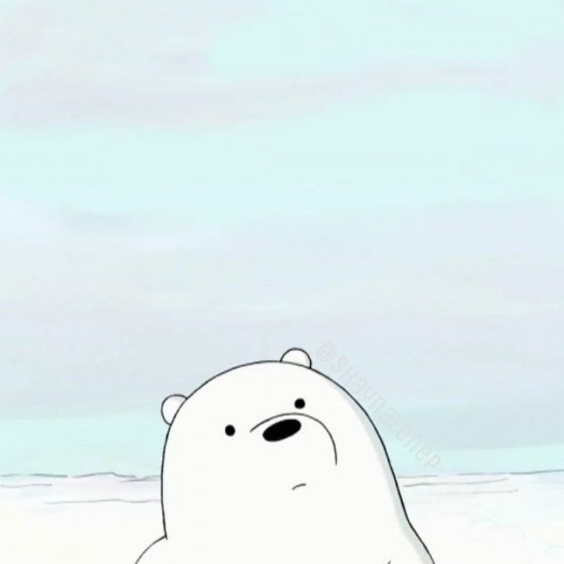 10 Top Ice Bear We Bare Bears Wallpaper Full Hd 1080p - We Bare Bears Wallpaper Hd , HD Wallpaper & Backgrounds