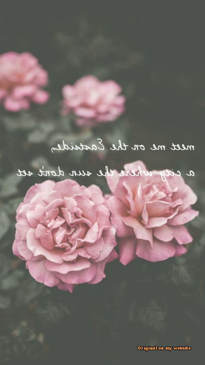 Best Wallpaper Backgrounds 2019 - Garden Roses , HD Wallpaper & Backgrounds