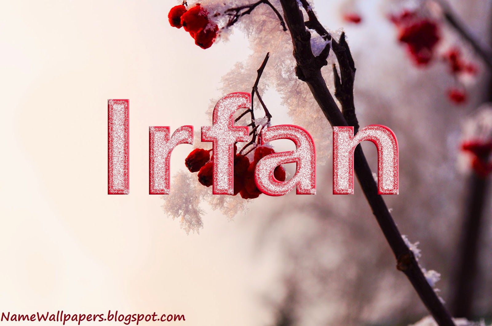 Irfan Name Wallpapers Irfan ~ Name Wallpaper Urdu Name - Meaning Of Johnson Name , HD Wallpaper & Backgrounds
