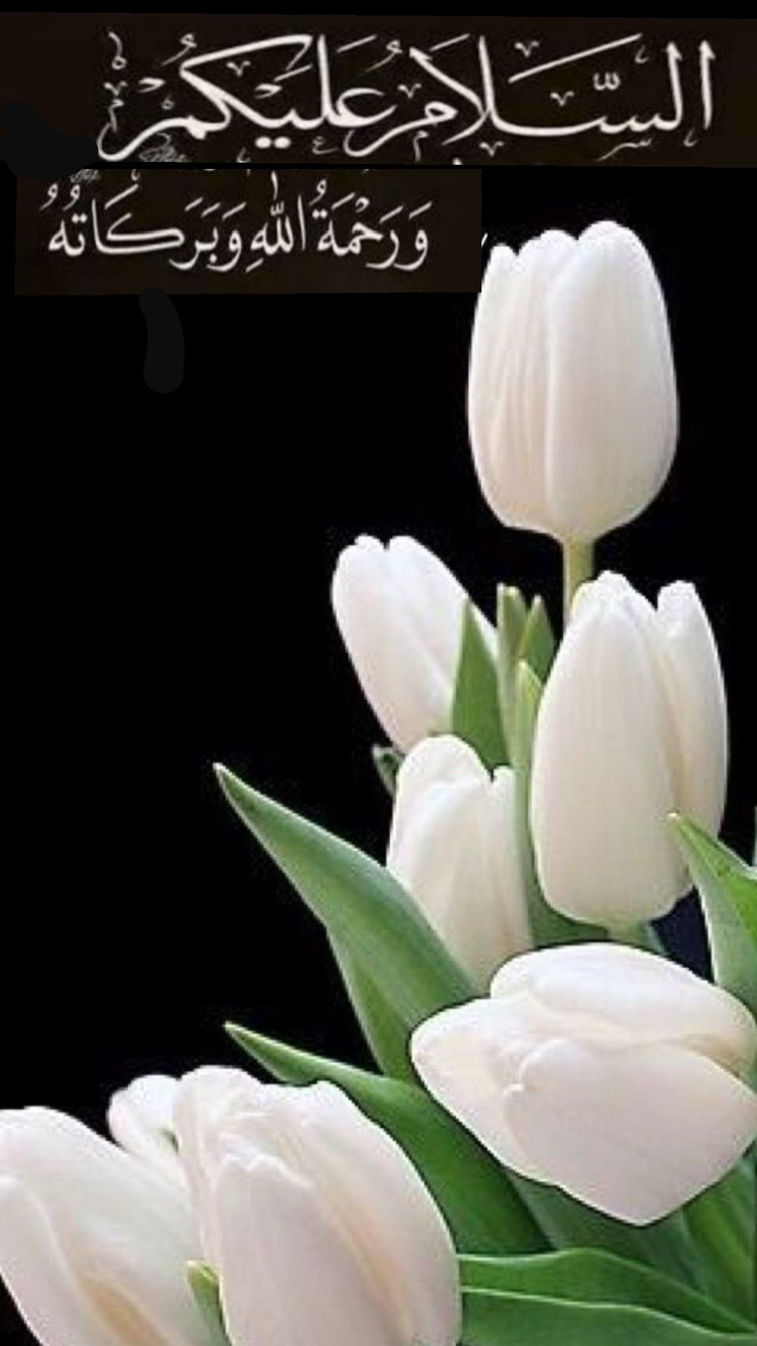 Ma Sha Allah Allah K Name, Juma Mubarak, Good Morning - White Tulips , HD Wallpaper & Backgrounds