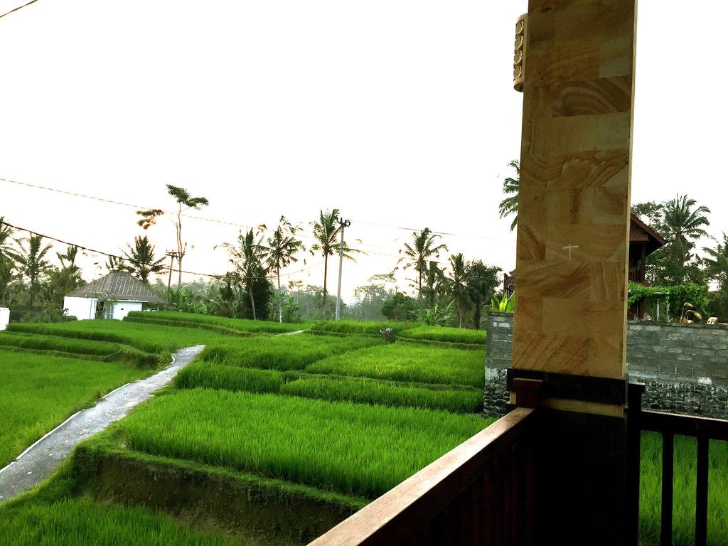 Gallery Image Of This Property - Paddy Field , HD Wallpaper & Backgrounds