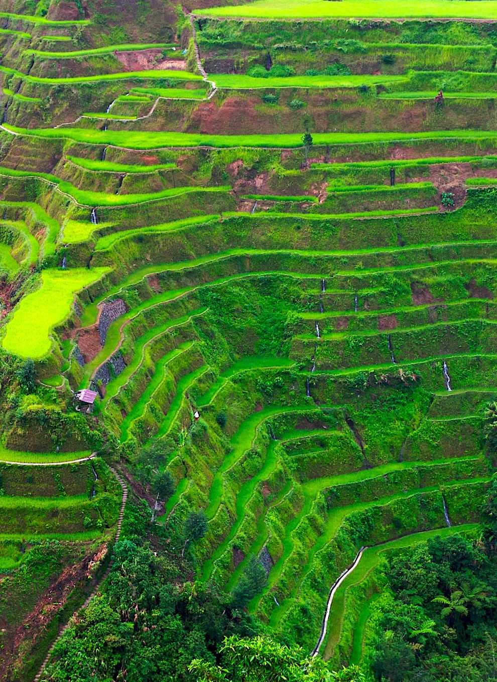 8 Pemandangan Sawah Terdahsyat Di Dunia - Banaue Rice Terraces , HD Wallpaper & Backgrounds