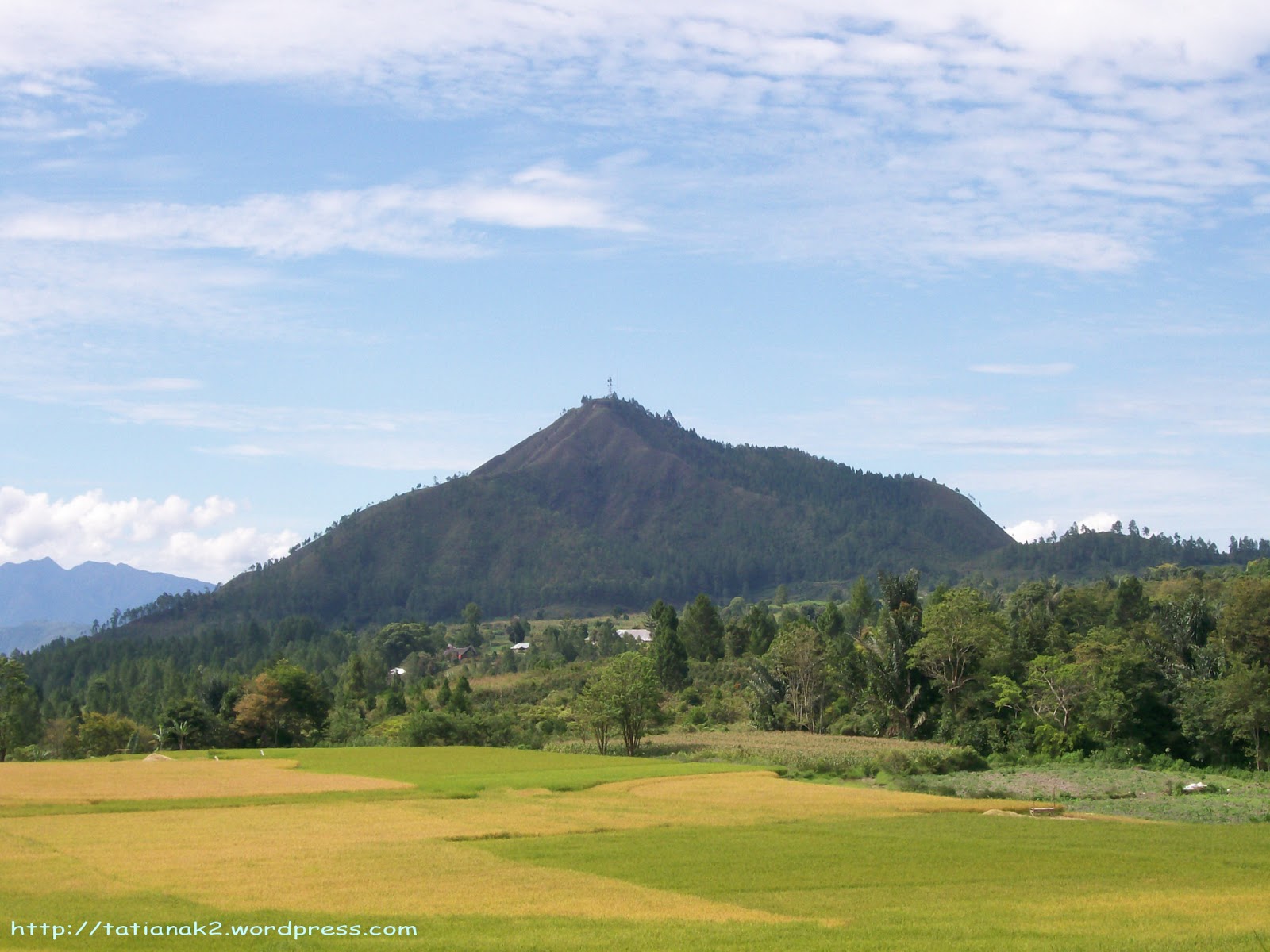 Wallpaper Pemandangan Alam Dan Pedesaan - Pemandangan Alam Sawah Pegunungan , HD Wallpaper & Backgrounds