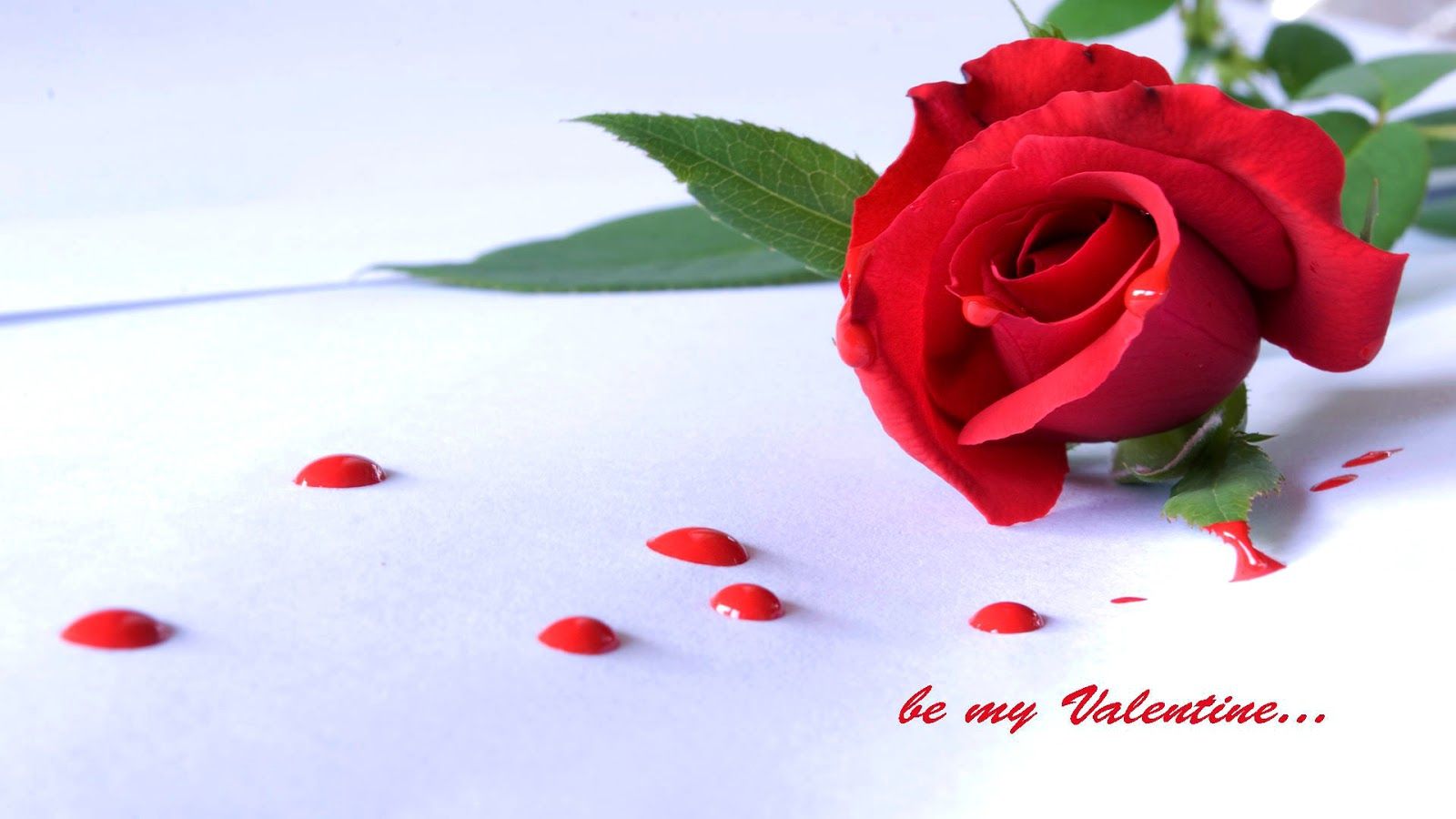 Happy Rose Day Wallpapers Hd Download Free 1080p - Gulab I Love You , HD Wallpaper & Backgrounds