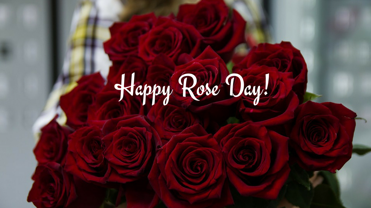 Happy Rose Day Wallpapers Happy Rose Day Images With - Rose Day Quotes For Boyfriend , HD Wallpaper & Backgrounds