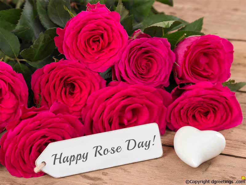 Happy Rose Day - Greeting Card , HD Wallpaper & Backgrounds