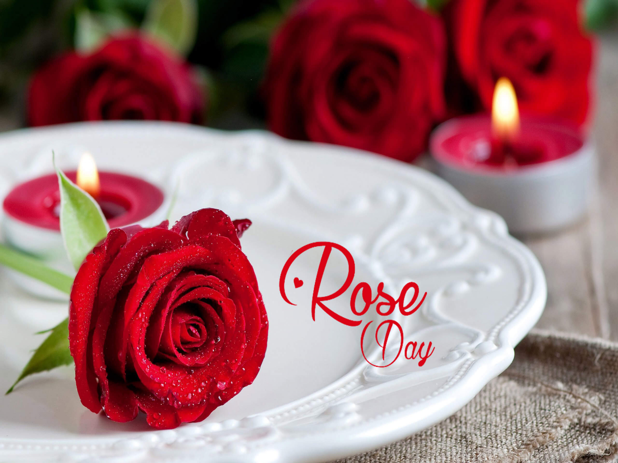 Popular Resolutions - Beautiful Red Rose Hd , HD Wallpaper & Backgrounds