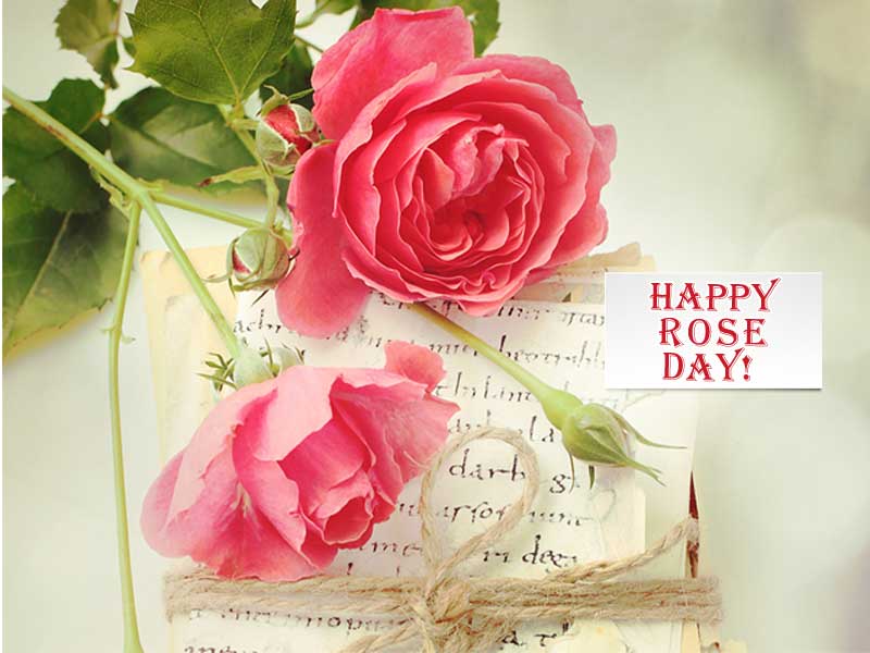 Happy Rose Day - Happy , HD Wallpaper & Backgrounds