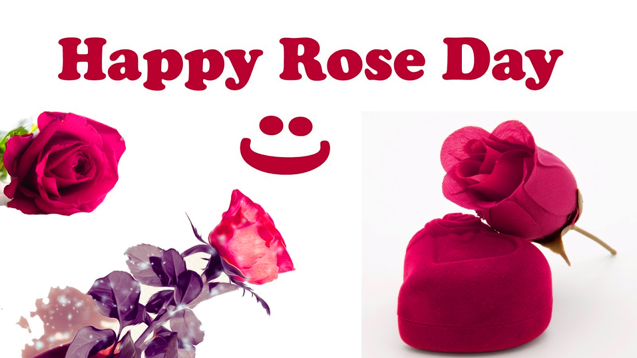 Happy Rose Day Images Photo Wallpaper Pictures Pics - Romantic Rose Day Wishes , HD Wallpaper & Backgrounds