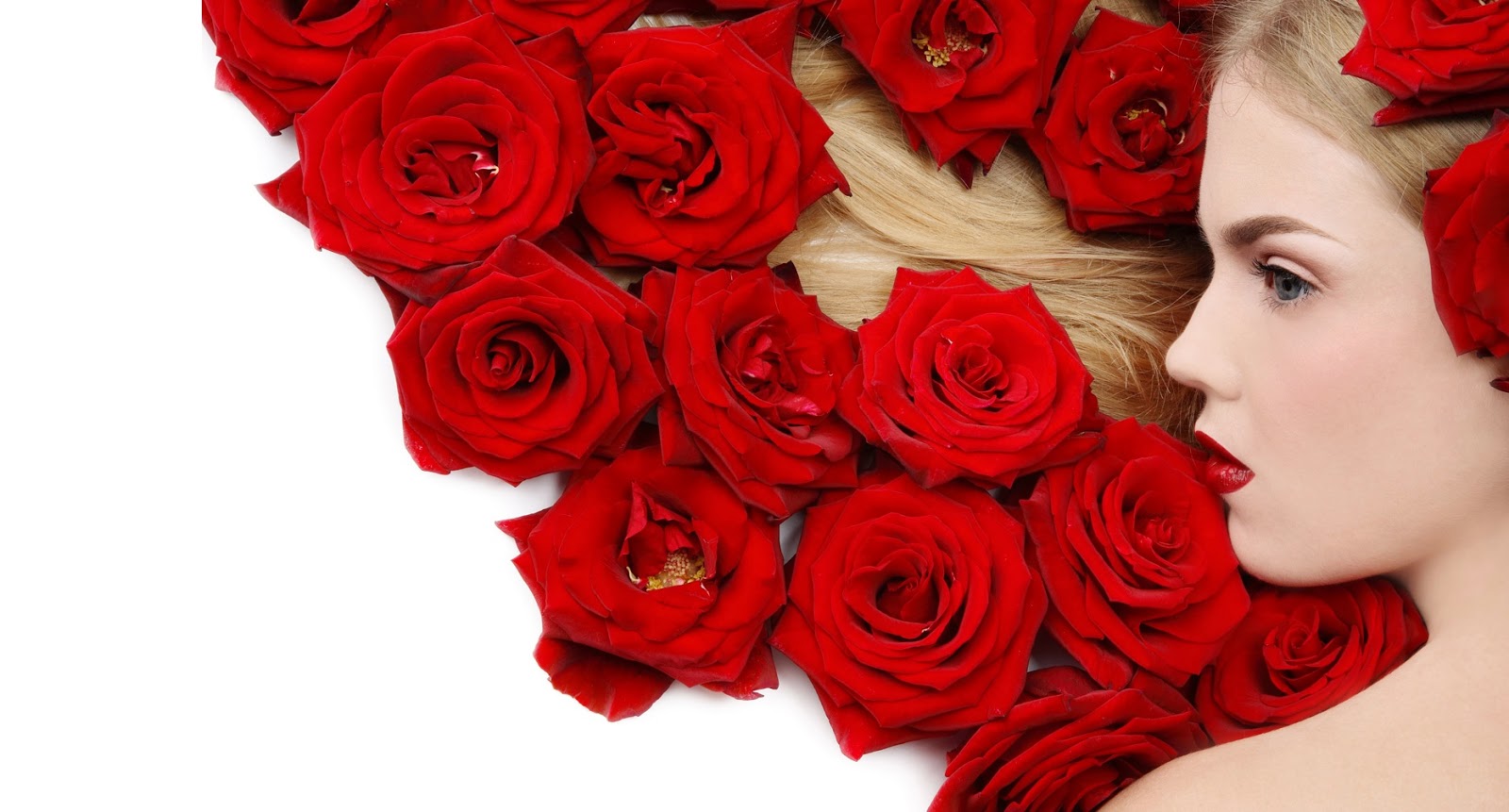 Happy Rose Day - Urdu Shayri Romantic Parveen Shakir , HD Wallpaper & Backgrounds