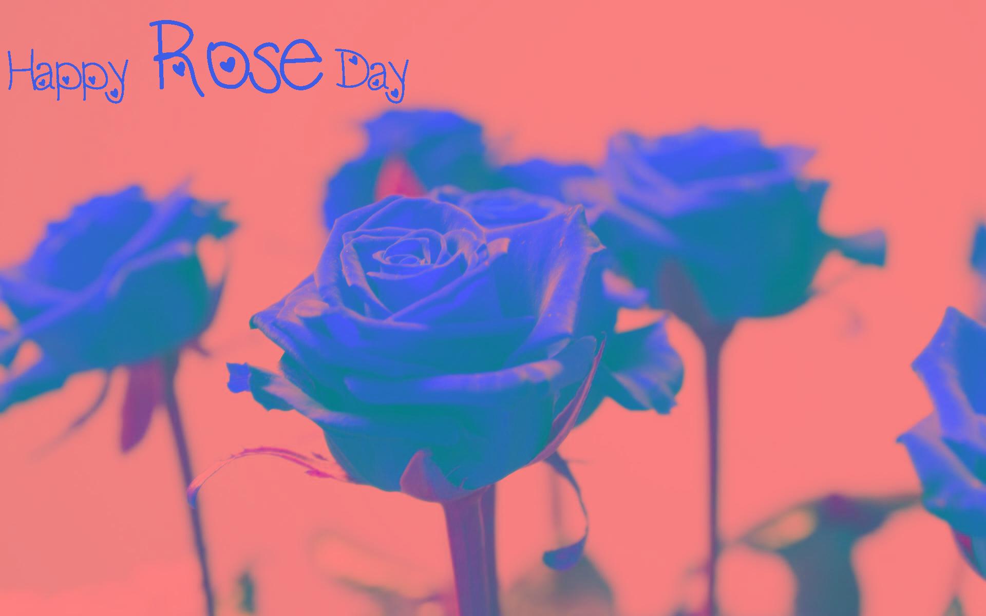 Rose Day Wallpapers And Beautiful Images - Happy Rose Day Hubby , HD Wallpaper & Backgrounds