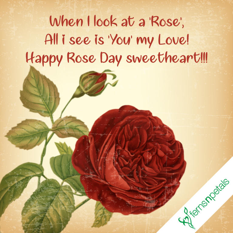 Onlne Rose Day Wishes - Red Rose Print Transparent , HD Wallpaper & Backgrounds