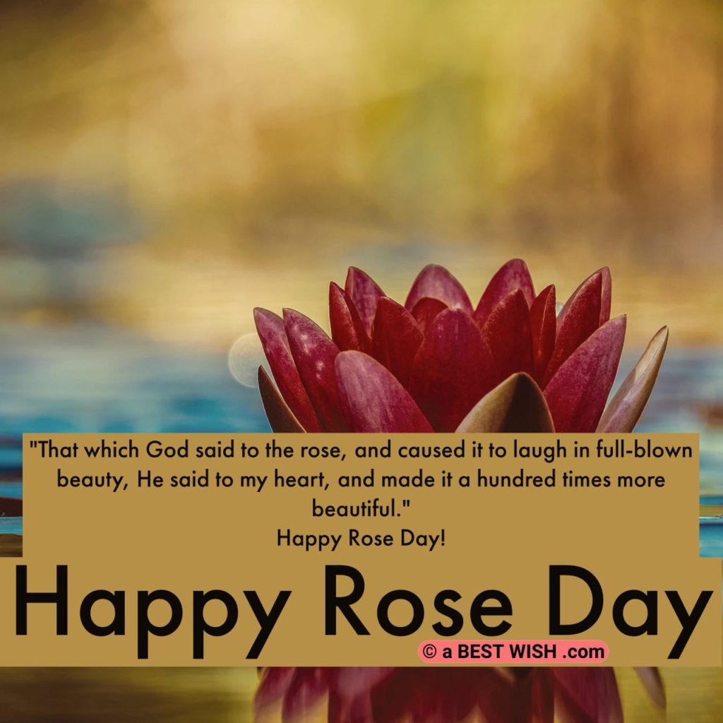 Good Morning Pic Hd - Rose Day Good Morning Message , HD Wallpaper & Backgrounds