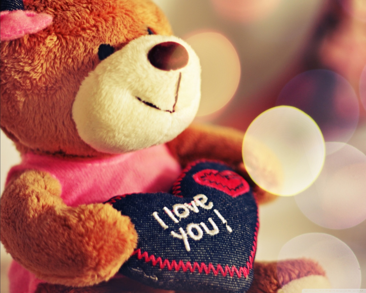 Standard 5 - - Cute Love Teddy Bear , HD Wallpaper & Backgrounds
