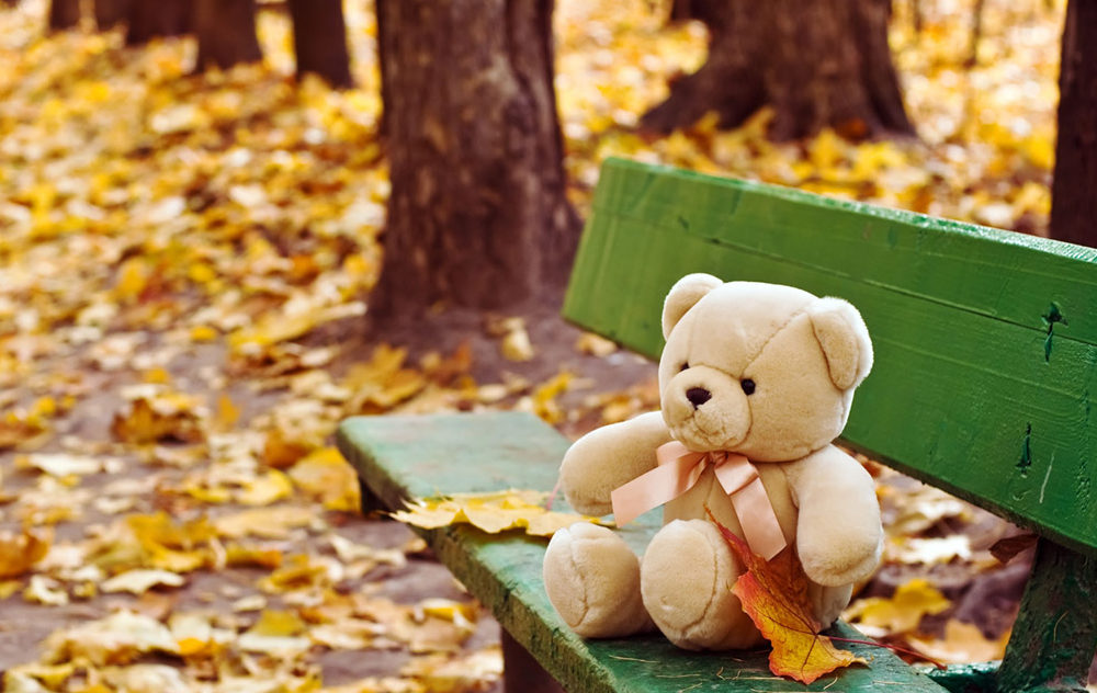 Happy Teddy Day Images Hd Wallpapers Pictures Greetings - November Reading , HD Wallpaper & Backgrounds