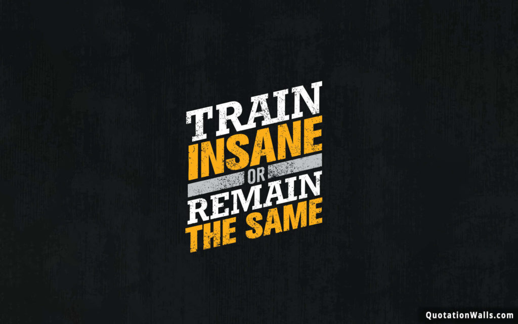 Train Insane - Gym Quotes Wallpaper Hd , HD Wallpaper & Backgrounds