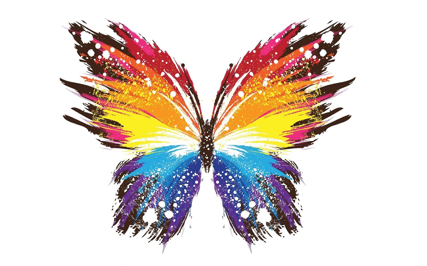 Butterfly Live Wallpaper - Colourful Wallpaper For Laptop , HD Wallpaper & Backgrounds