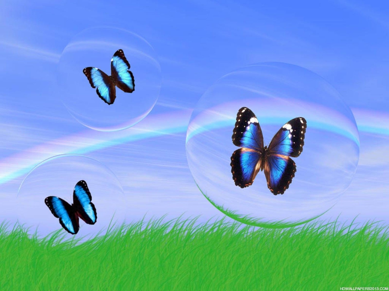 3d Butterfly Wallpaper - Butterfly In A Bubble , HD Wallpaper & Backgrounds