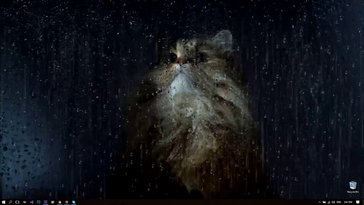 Rainy Window Cat Live Wallpaper - Cat Wallpaper In Window , HD Wallpaper & Backgrounds