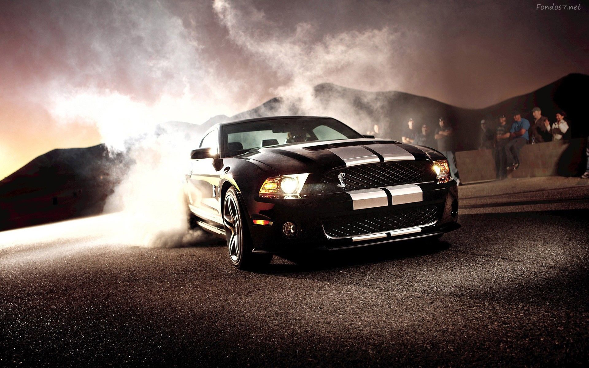 Top 1000 Wallpapers Blog - Mustang Car , HD Wallpaper & Backgrounds