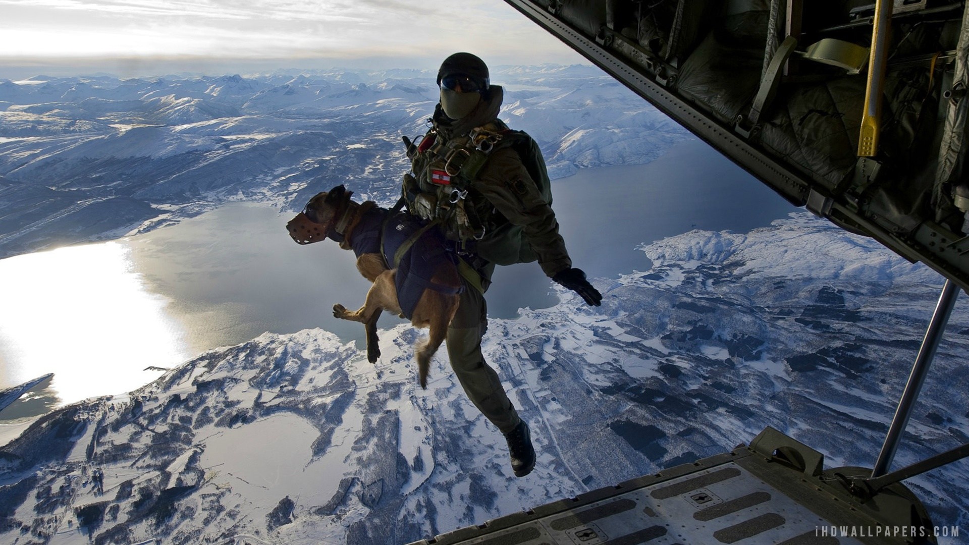 10000 Wallpapers - Military Dog Parachute , HD Wallpaper & Backgrounds