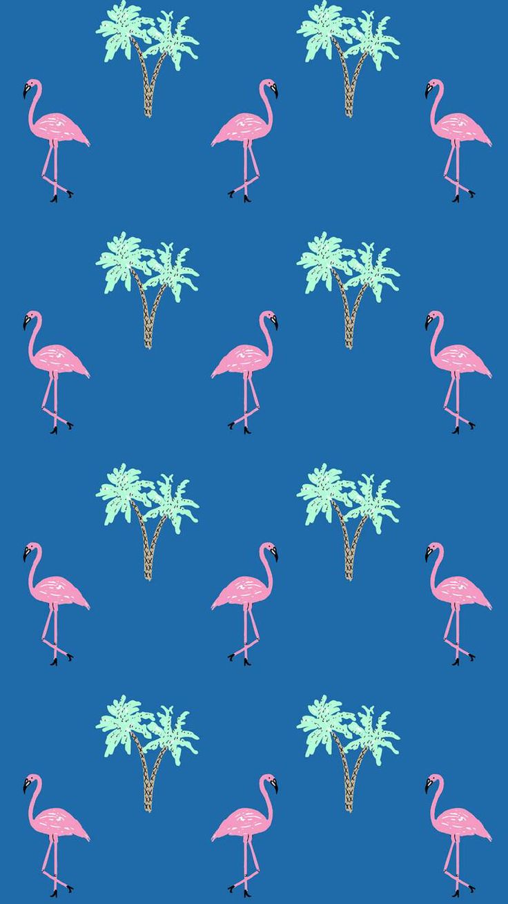 Downloaded From Wallpapers - Greater Flamingo , HD Wallpaper & Backgrounds