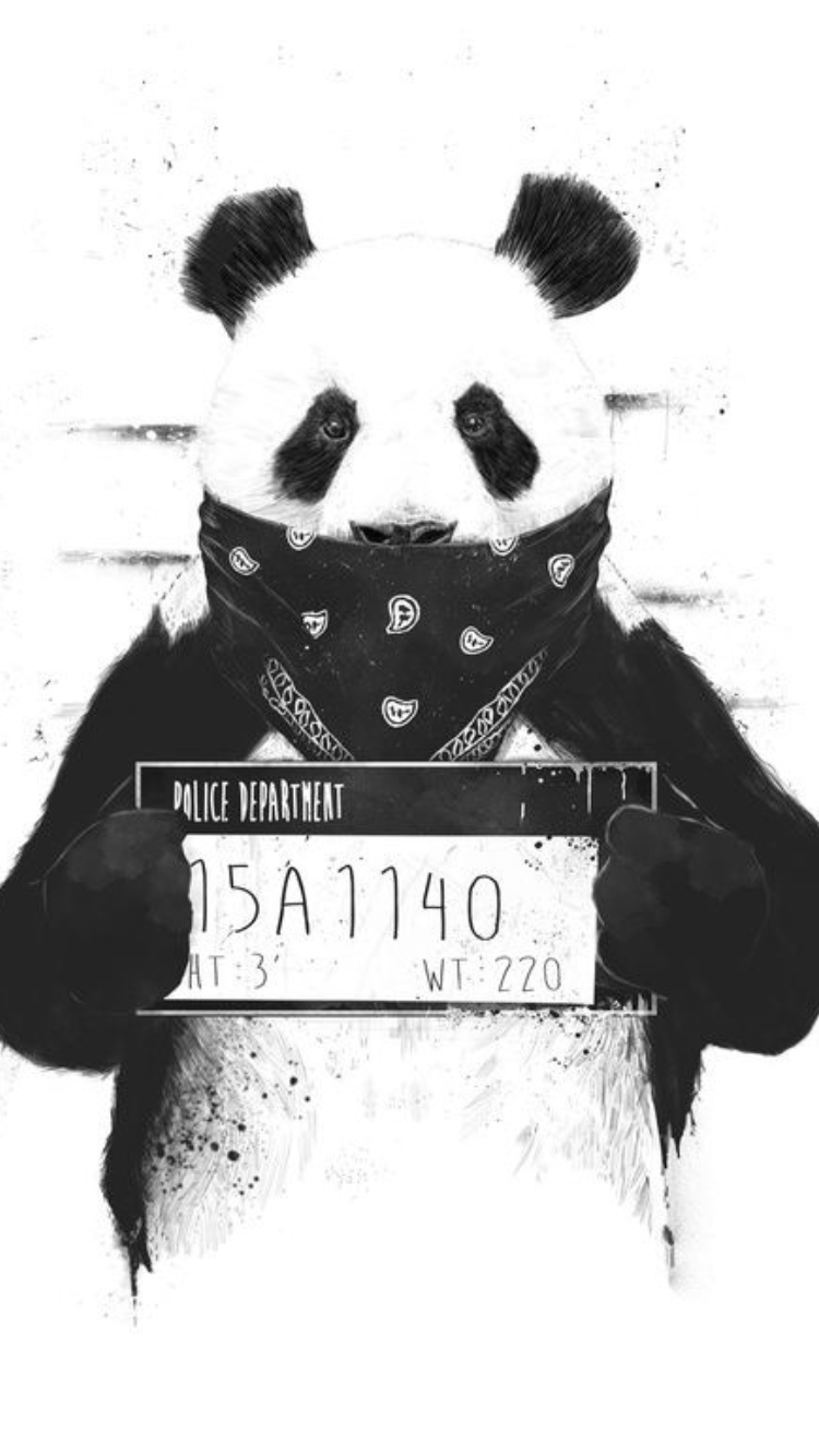 Gangster Panda - Bad Panda , HD Wallpaper & Backgrounds