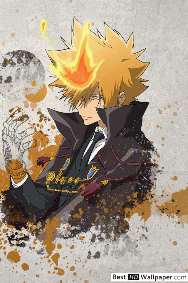 Apple Iphone Retina 4, 4s, - Katekyo Hitman Reborn Primo , HD Wallpaper & Backgrounds