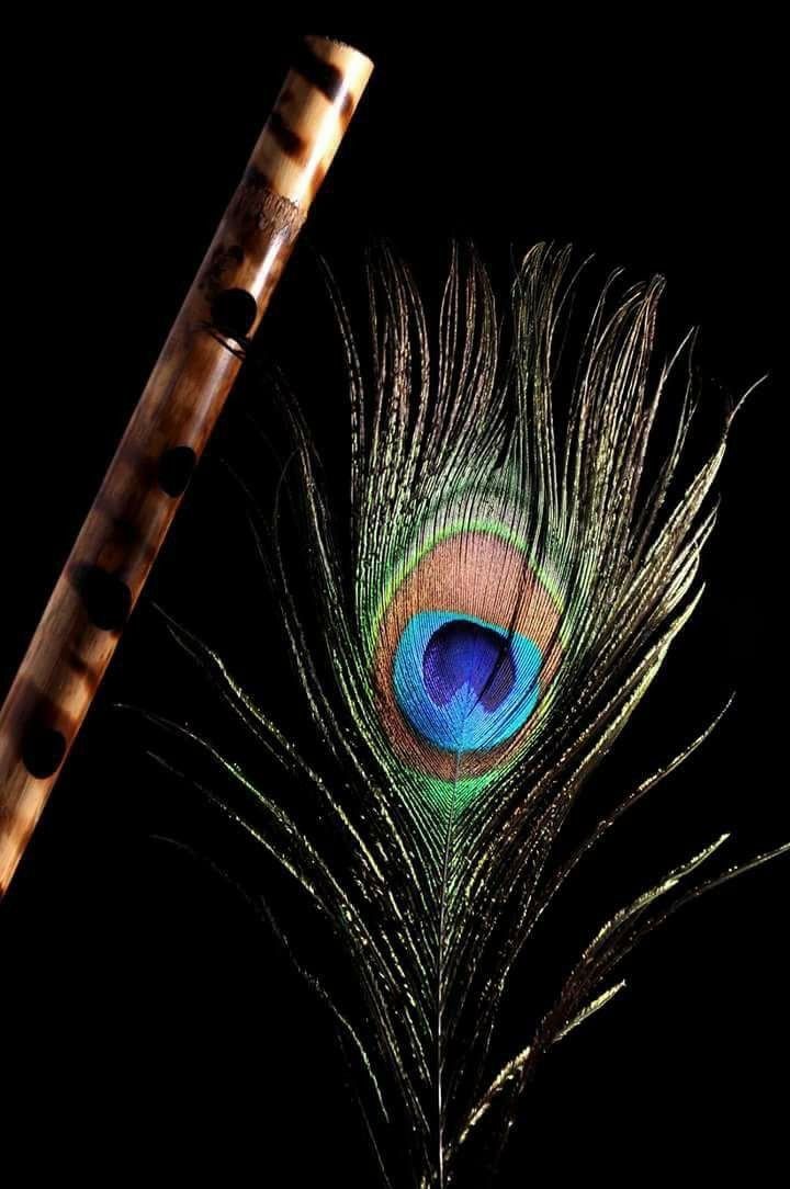 Peacock Krishna Flute, Radha Krishna Love, Radha Krishna - Peacock Feather With Flute , HD Wallpaper & Backgrounds