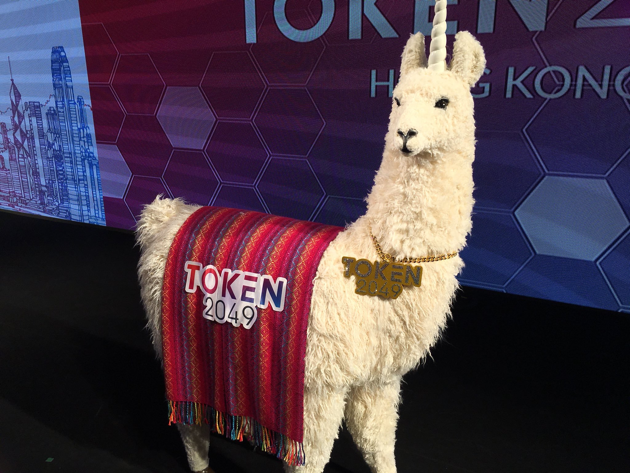 Token2049 - Llama , HD Wallpaper & Backgrounds