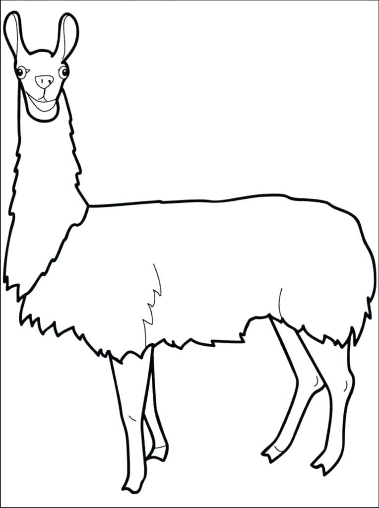 Llama Coloring Pages Llama Coloring Pages Free Worksheet , HD Wallpaper & Backgrounds