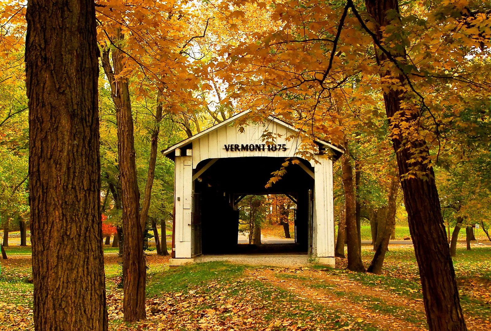Download Vermont Bridge Serenity Patyh America Forest - Vermont Autumn , HD Wallpaper & Backgrounds