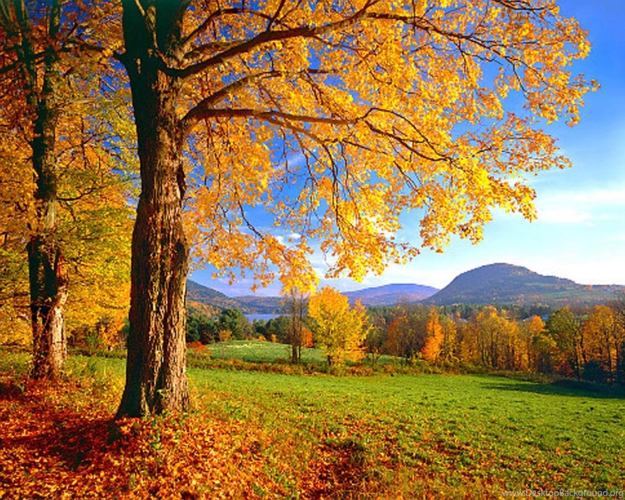 Widescreen - New England Autumn Hd , HD Wallpaper & Backgrounds