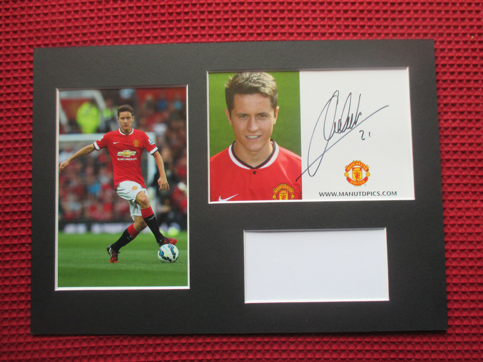 Manchester United Ander Herrera Genuine Signed A4 Mounted - Player , HD Wallpaper & Backgrounds