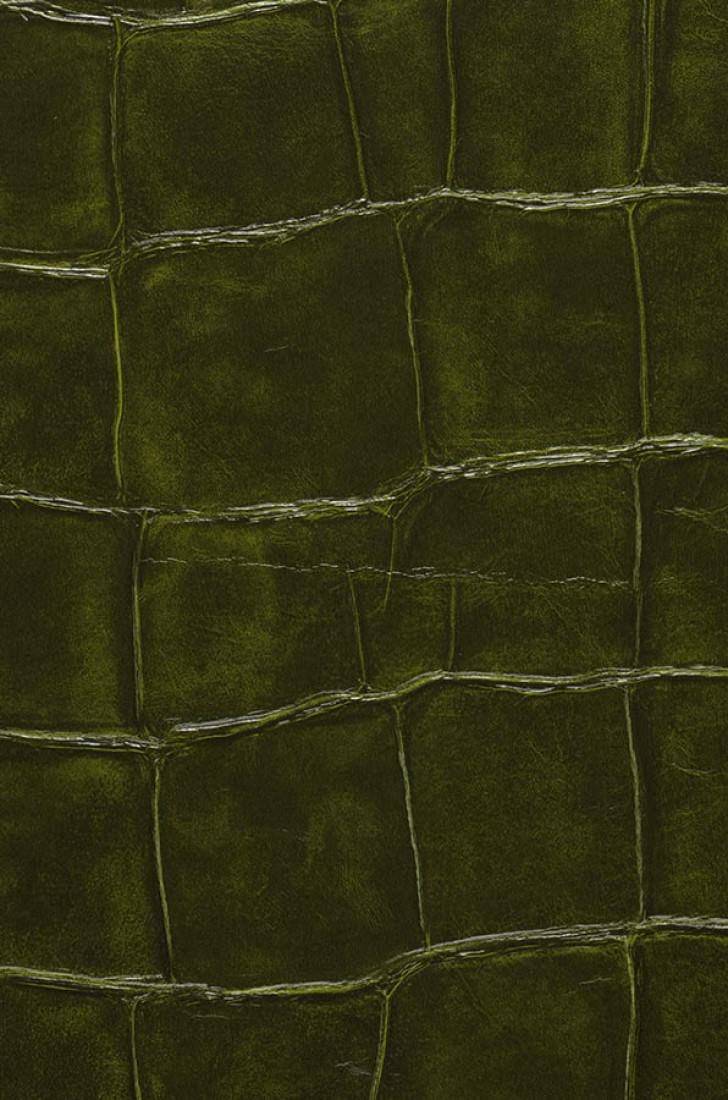Wallpaper Croco 05 Shiny Imitation Leather Dark Green - Pencil Skirt , HD Wallpaper & Backgrounds