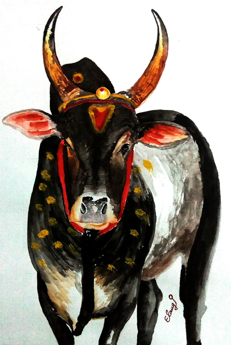 Drawn Bulls Jallikattu Kaalai - Jallikattu Cow Painting , HD Wallpaper & Backgrounds