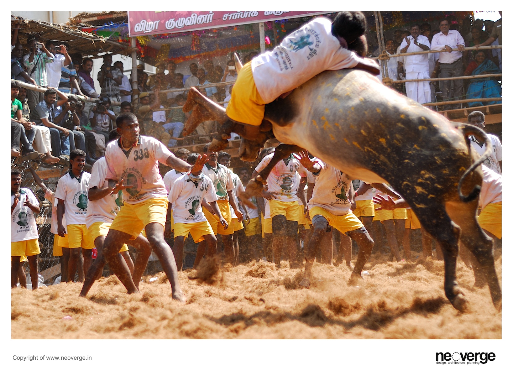 Dsc 0120 Dsc 0123 A Jallitakku 27 A Jallitakku - Hd Picture Of Jallikattu , HD Wallpaper & Backgrounds