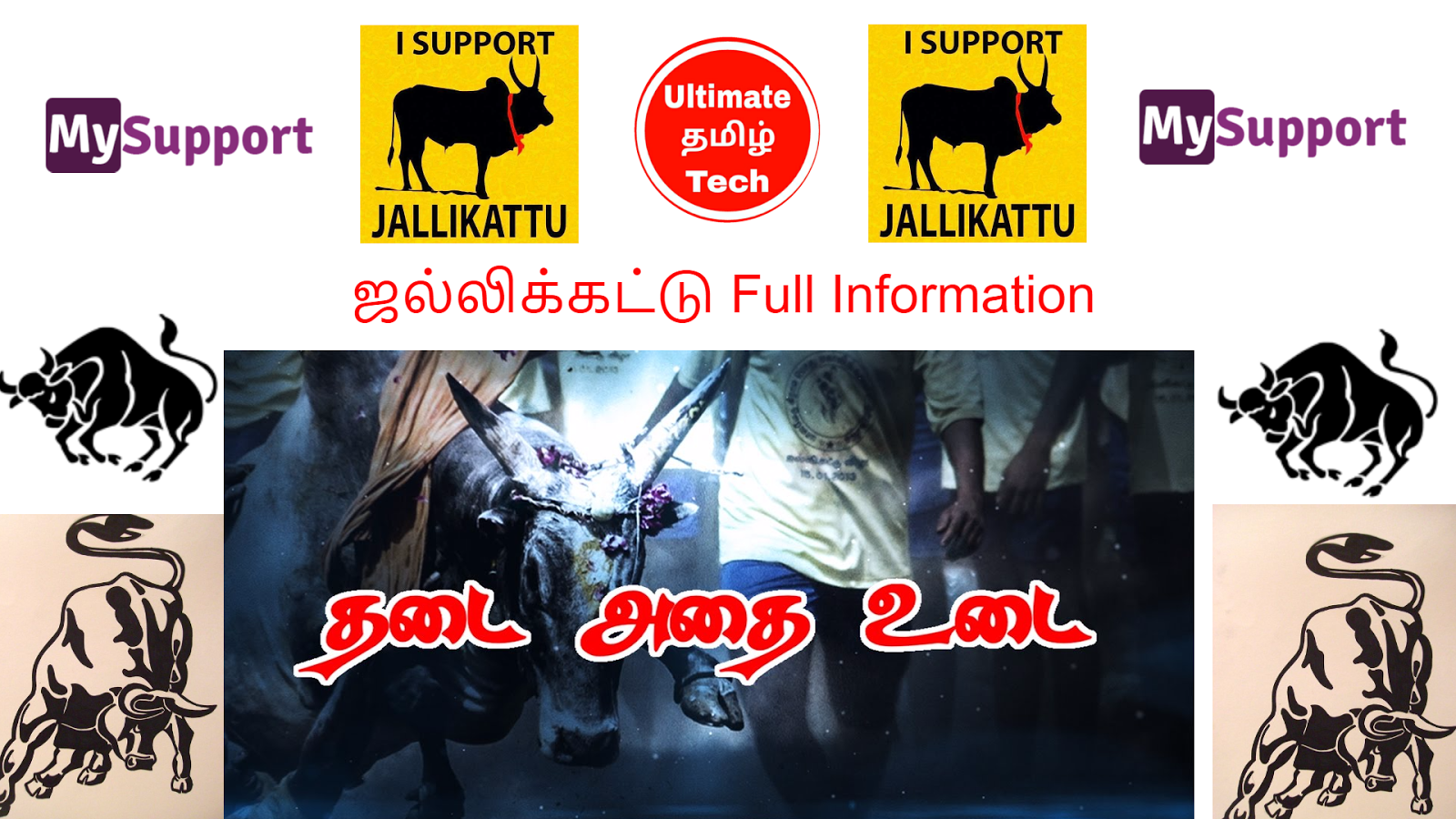 Jallikattu Full Information Tamilan Veera Vilayattu - Dairy Cow , HD Wallpaper & Backgrounds