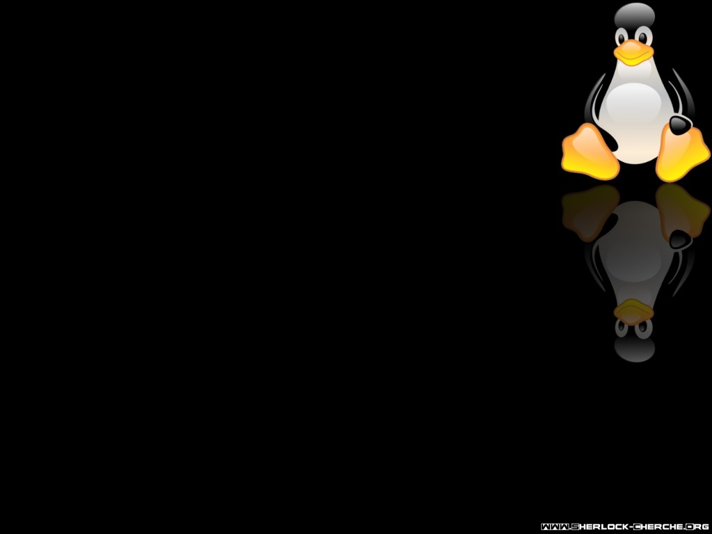 Linux Wallpaper De Juduw Provenant De Linux - Linux , HD Wallpaper & Backgrounds