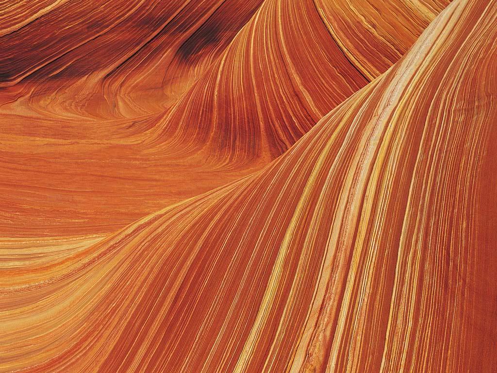Coyote Buttes, The Wave , HD Wallpaper & Backgrounds