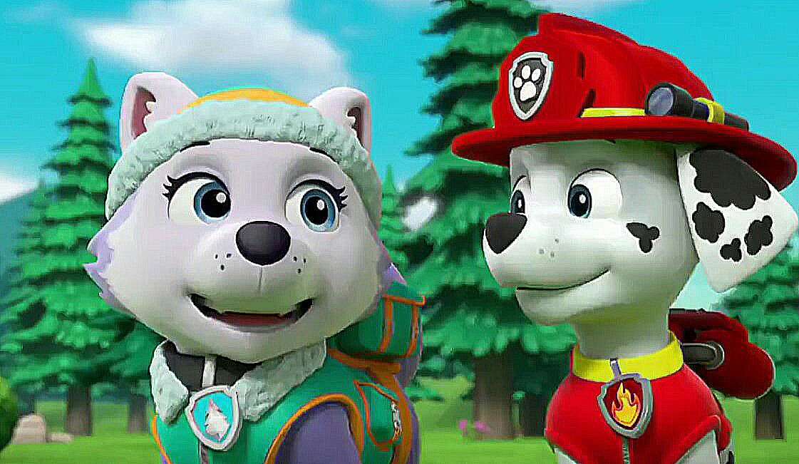 Marshall And Everest - Paw Patrol Marshall Eberes , HD Wallpaper & Backgrounds