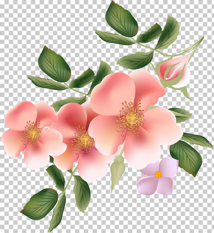 ดอกไม้ แห่ง ความ สุข , HD Wallpaper & Backgrounds