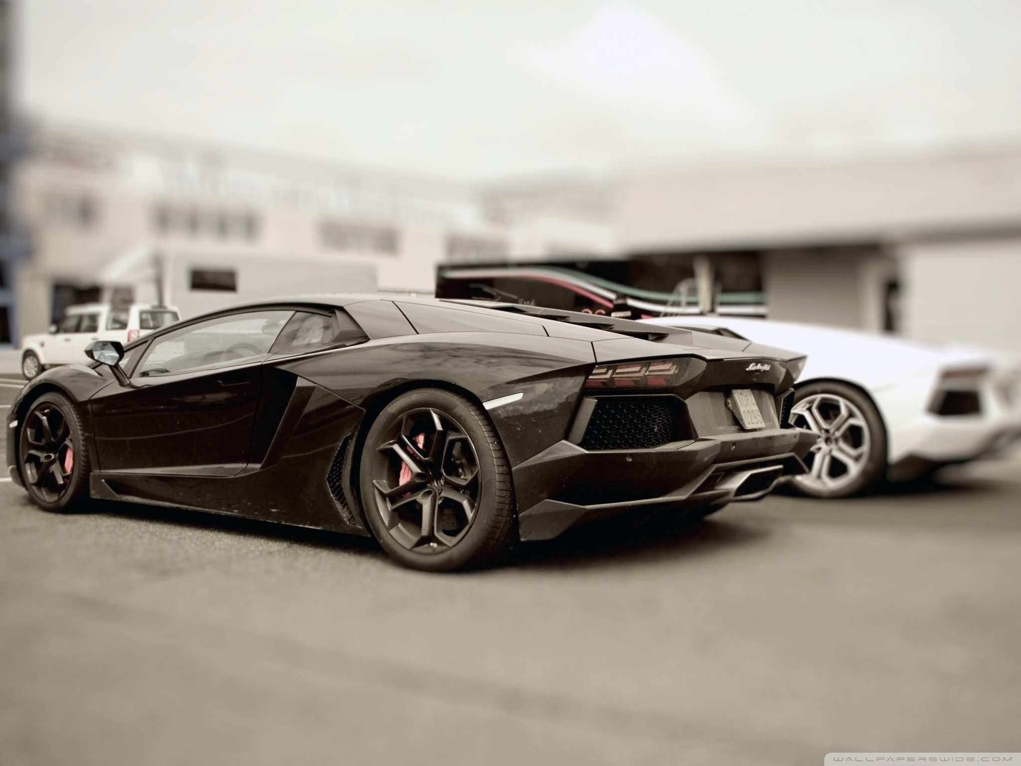 Standard - Lamborghini Aventador Pics Hd , HD Wallpaper & Backgrounds