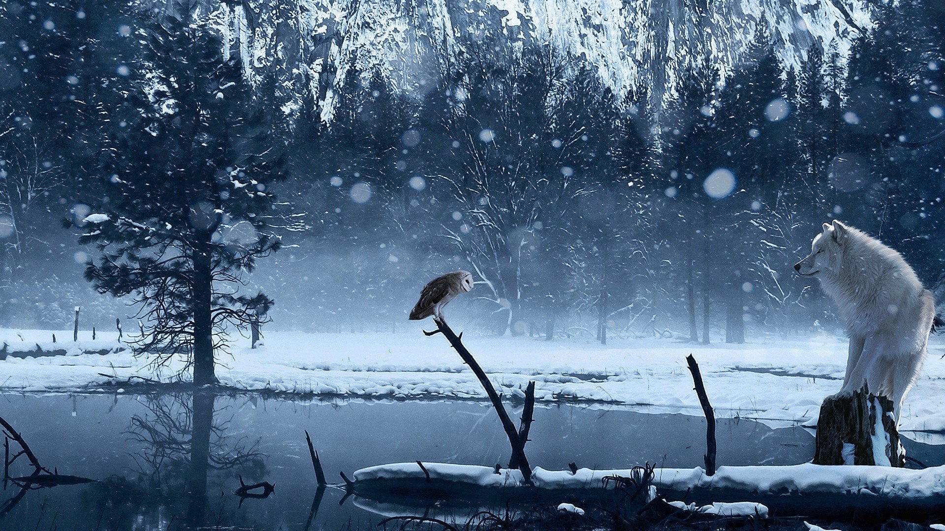 Download Wallpaper Snow, Owl, Wolf, Lake Free Desktop - Winter Wolf Backgrounds , HD Wallpaper & Backgrounds