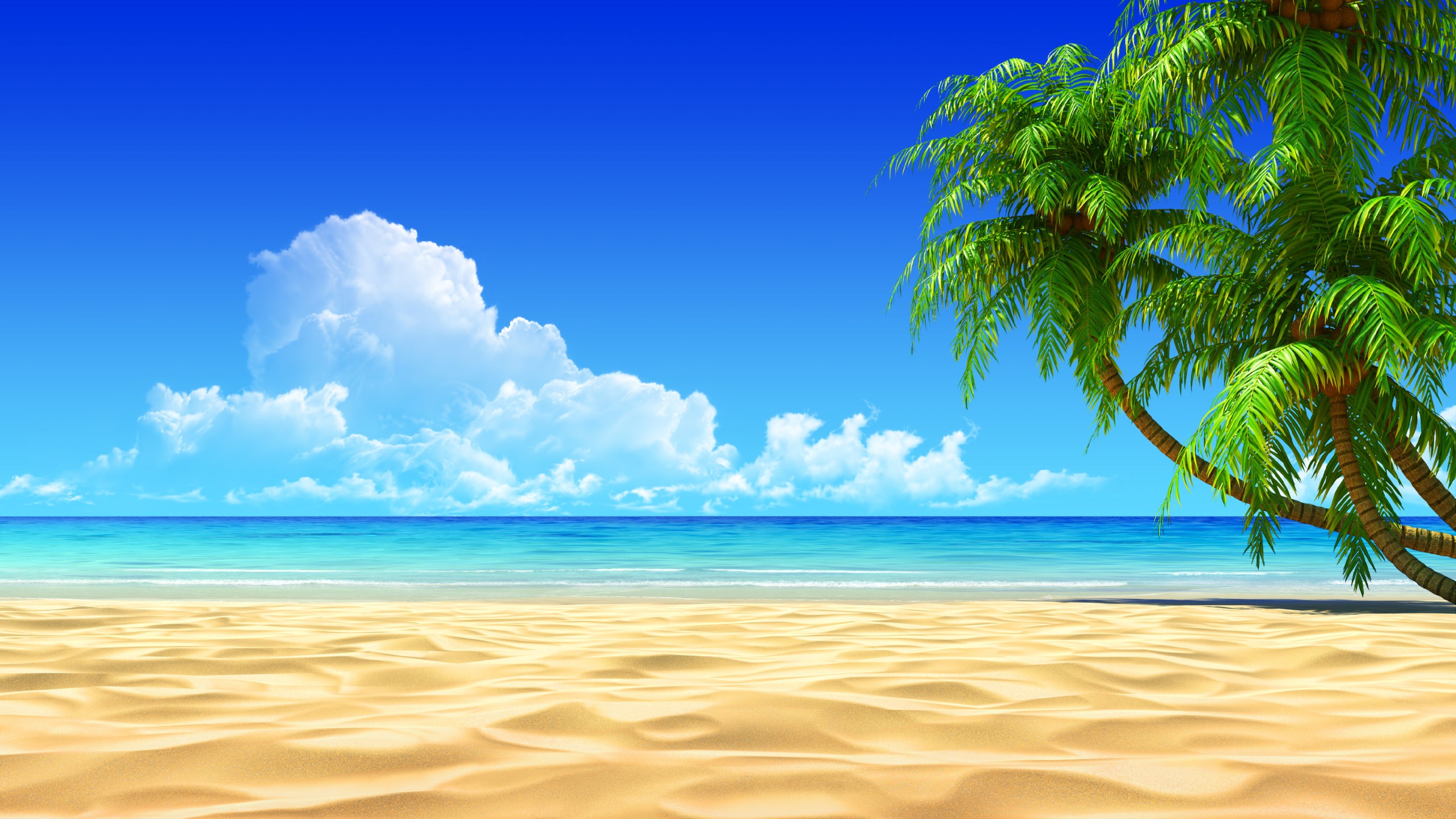 Tropical Background Hd, Bradshaw Nash Williams 2016 - Beach Background , HD Wallpaper & Backgrounds