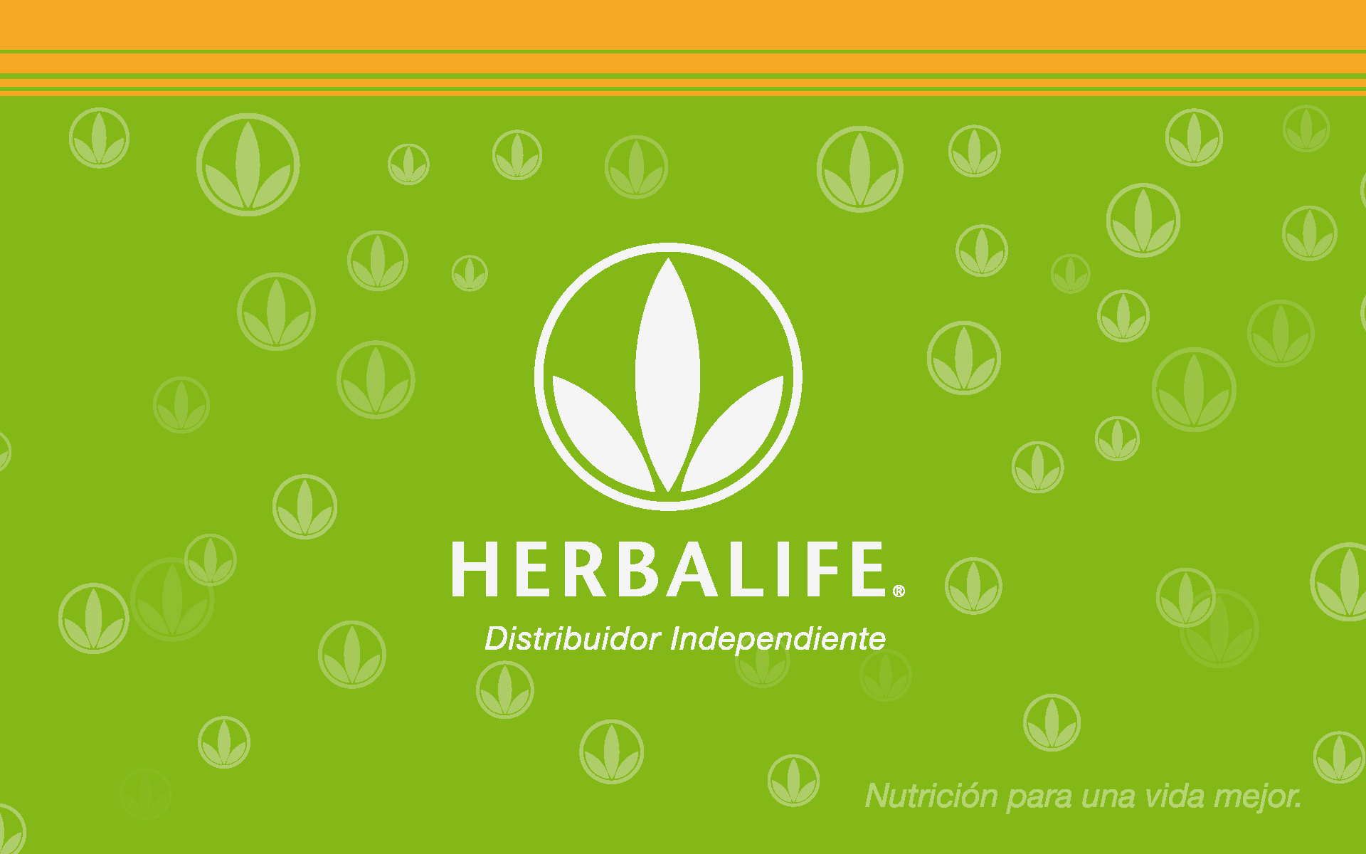 Wallpapers Herbalife - Herbalife Background , HD Wallpaper & Backgrounds