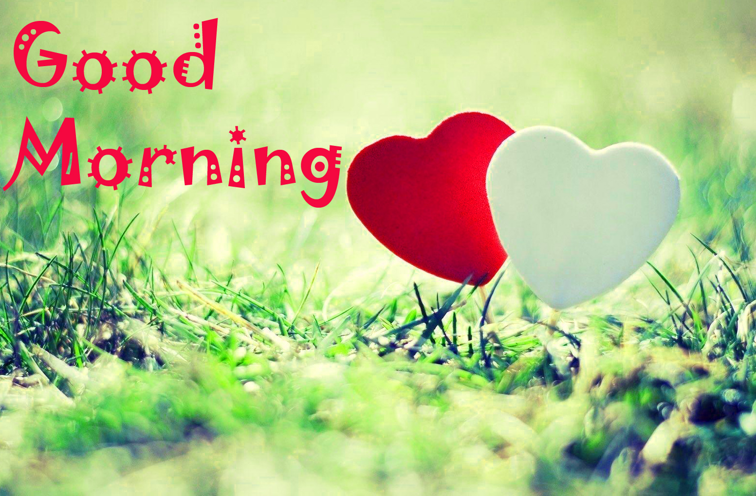 Good Morning Images Wallpaper Photo Pics Download For - Happy Valentine Day 4k , HD Wallpaper & Backgrounds